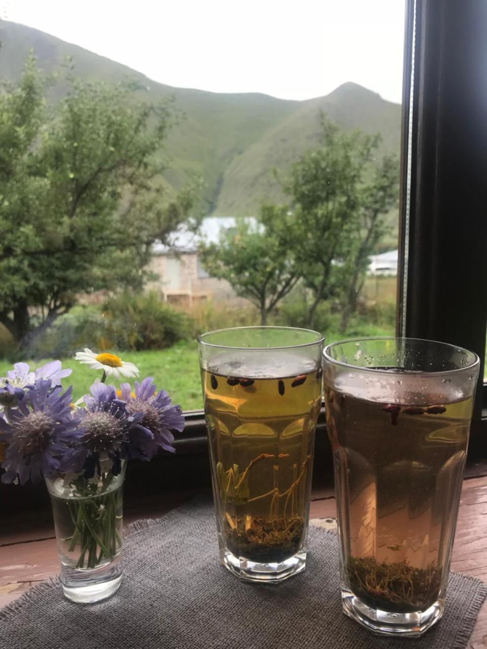 Dachi Inn 카즈베기 외부 사진